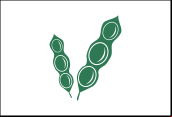 Soja